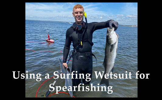 How to use a surfing wetsuit while spearfishing